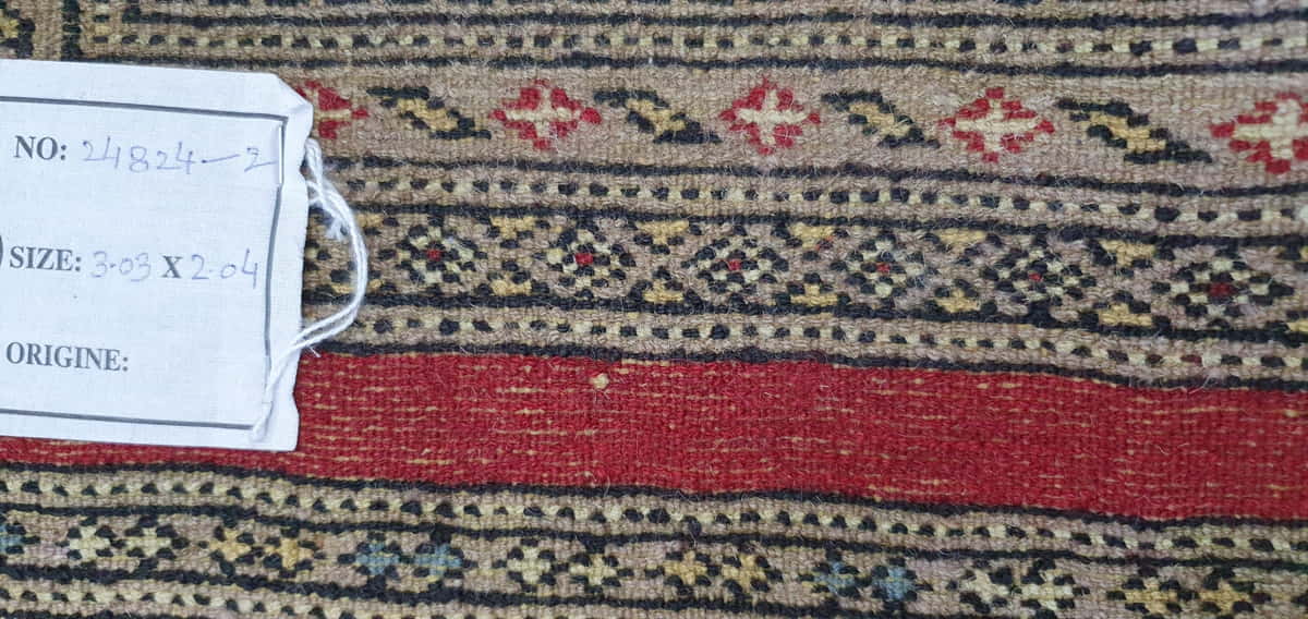 Pakistani Bokhara Design 303x204cm | Rug# 24824