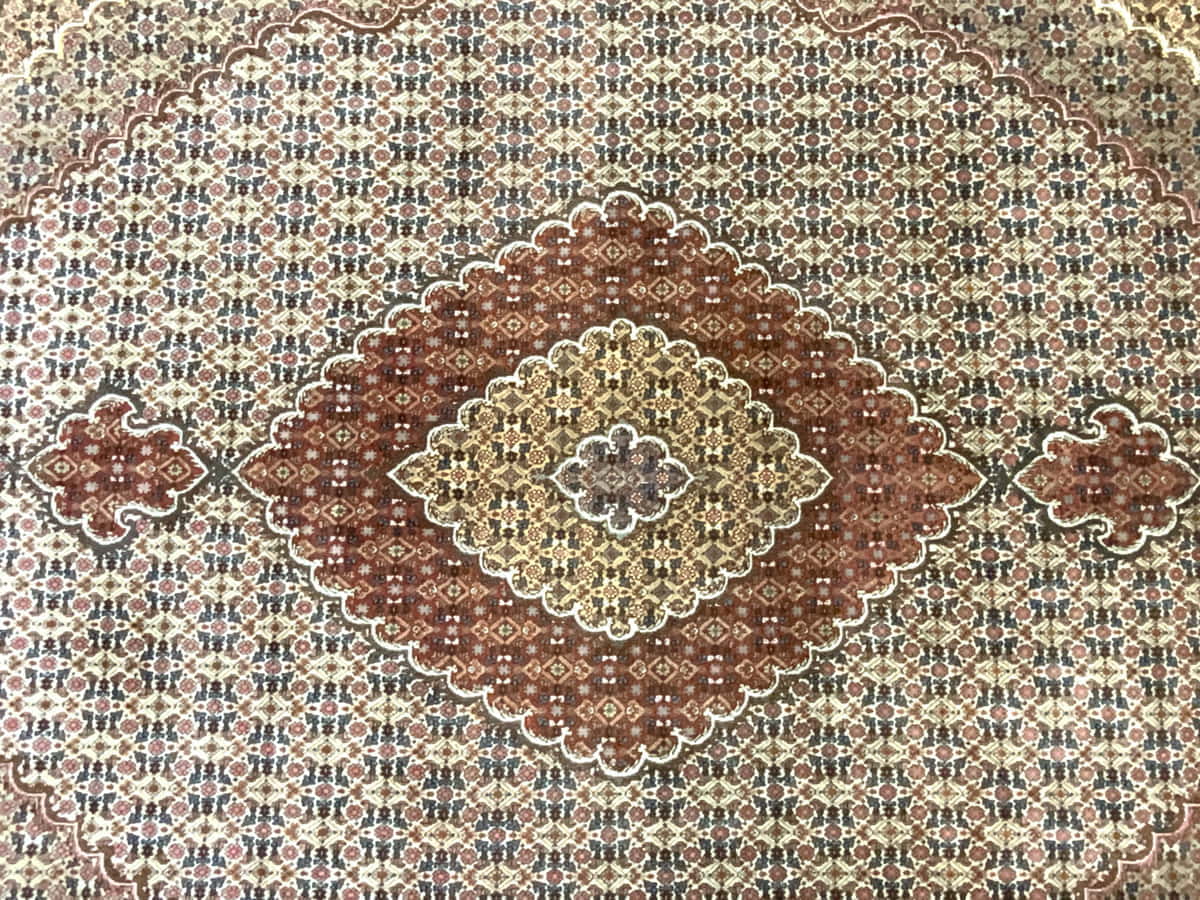Persian Tabriz 340x240cm | Rug#10533 (APA)