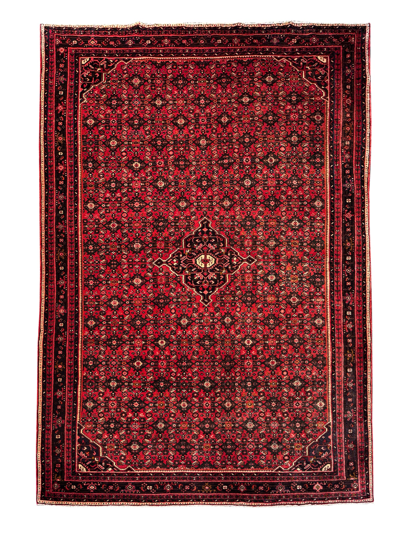 Vintage Enjelass 330x222cm | Rug# 6040