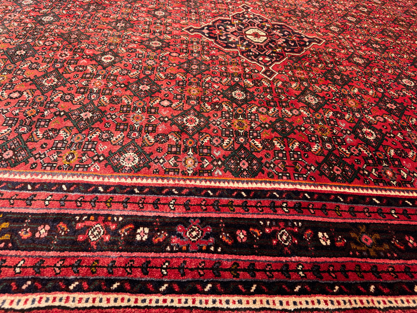 Vintage Enjelass 330x222cm | Rug# 6040