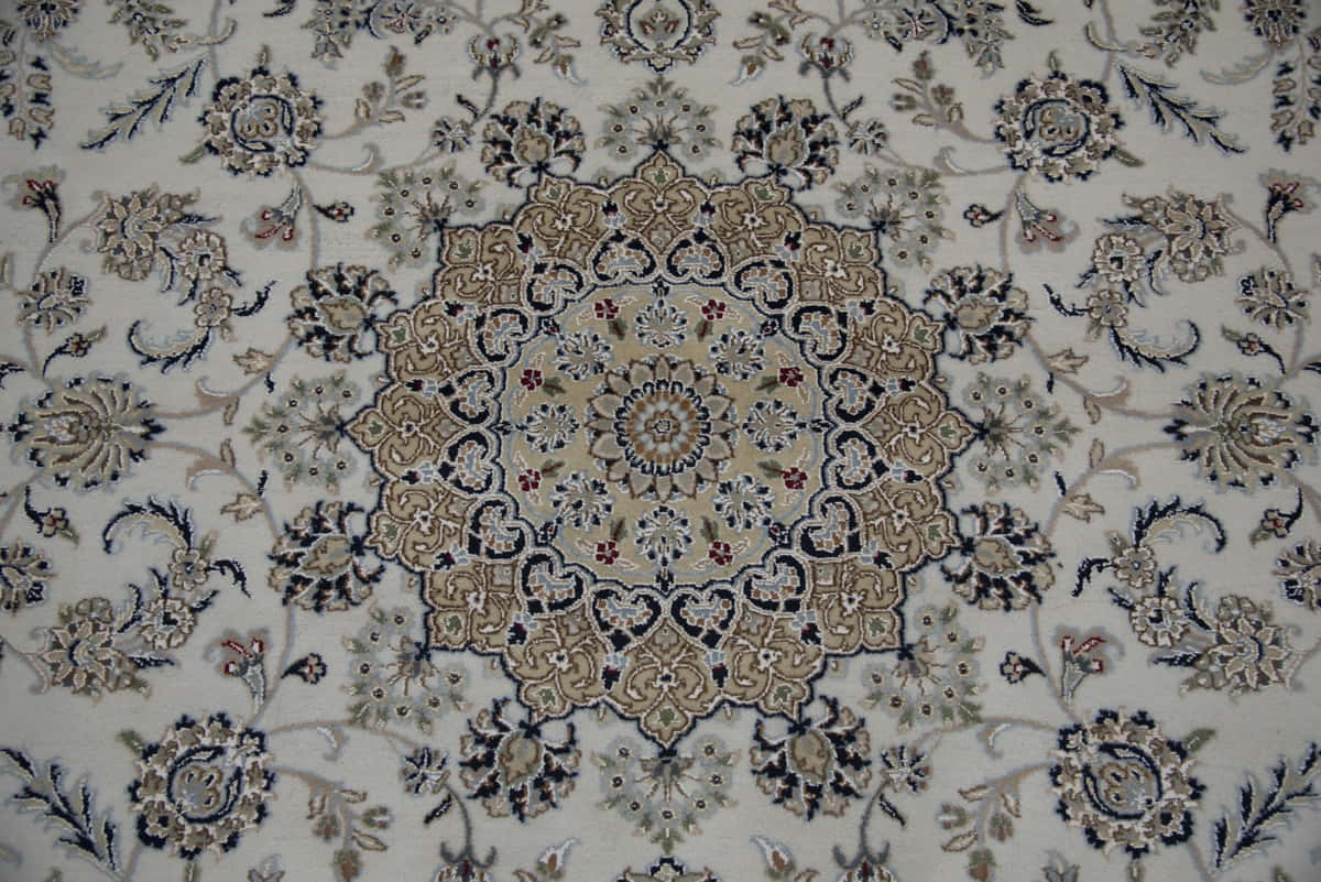 Amritsar Nain 248x307cm | Rug #31307