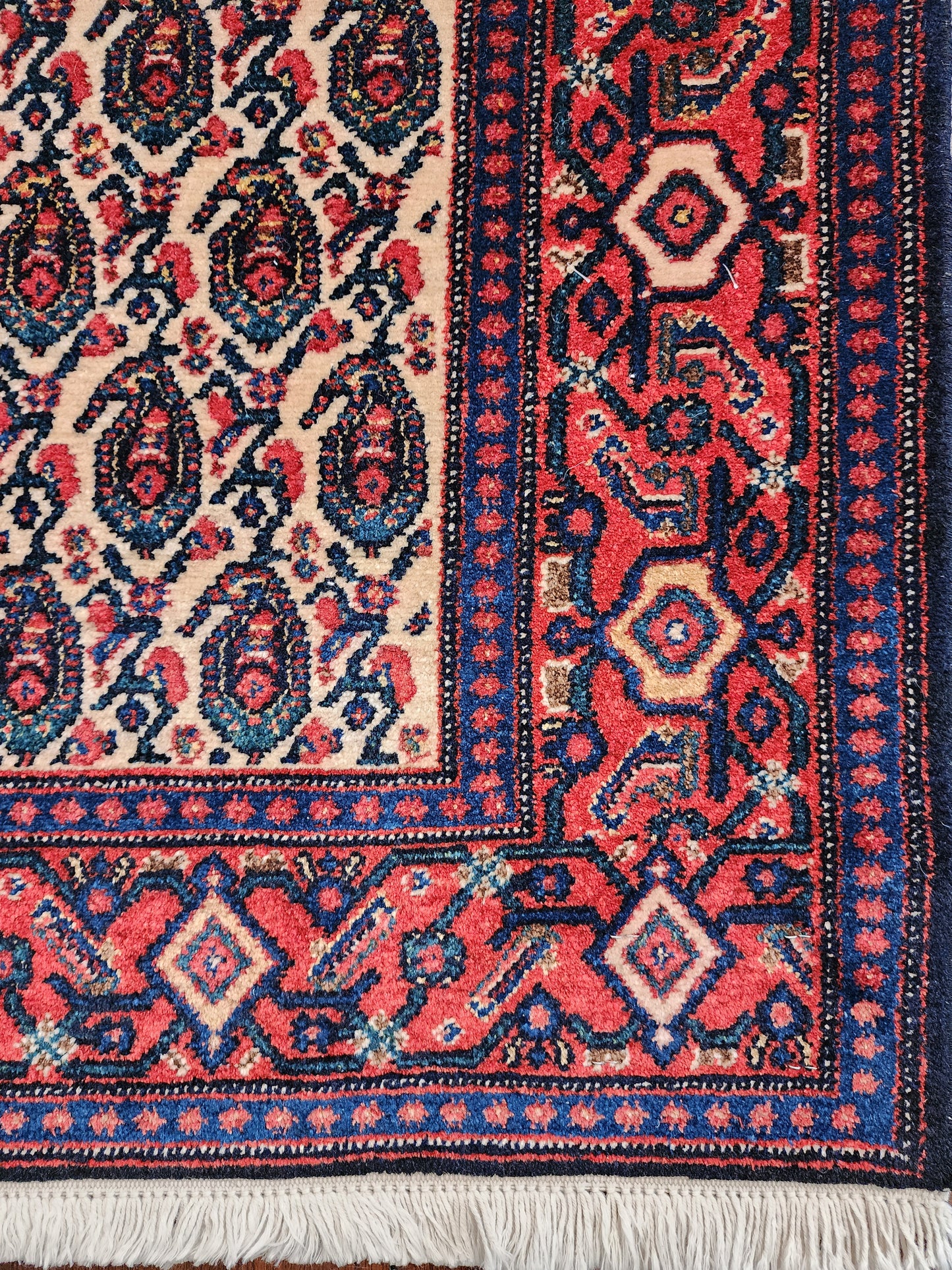 Rare Senneh, Takpood quality, circa 1960, Persia, 199x139 cm | Rug# 17289