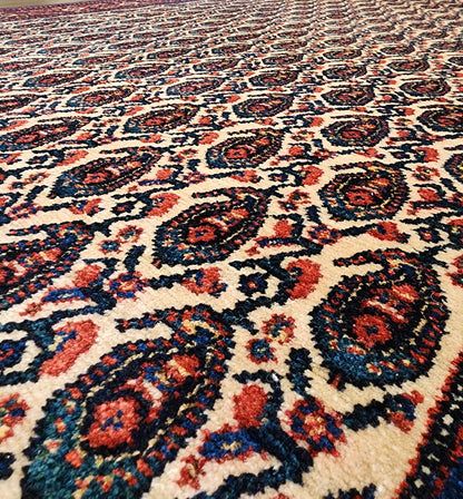 Rare Senneh, Takpood quality, circa 1960, Persia, 199x139 cm | Rug# 17289
