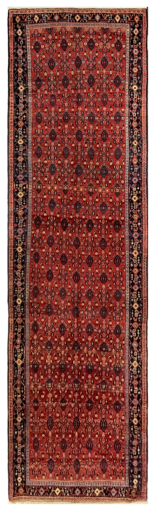 Kurdistan Seneh Runner 400x120cm