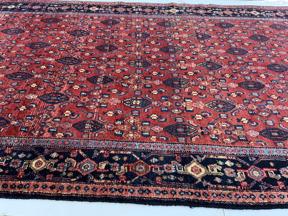 Kurdistan Seneh Runner 400x120cm | Rug# 10044