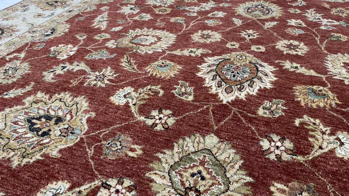 Jaipur Ziegler Carpet 369x270cm | Rug# 11683