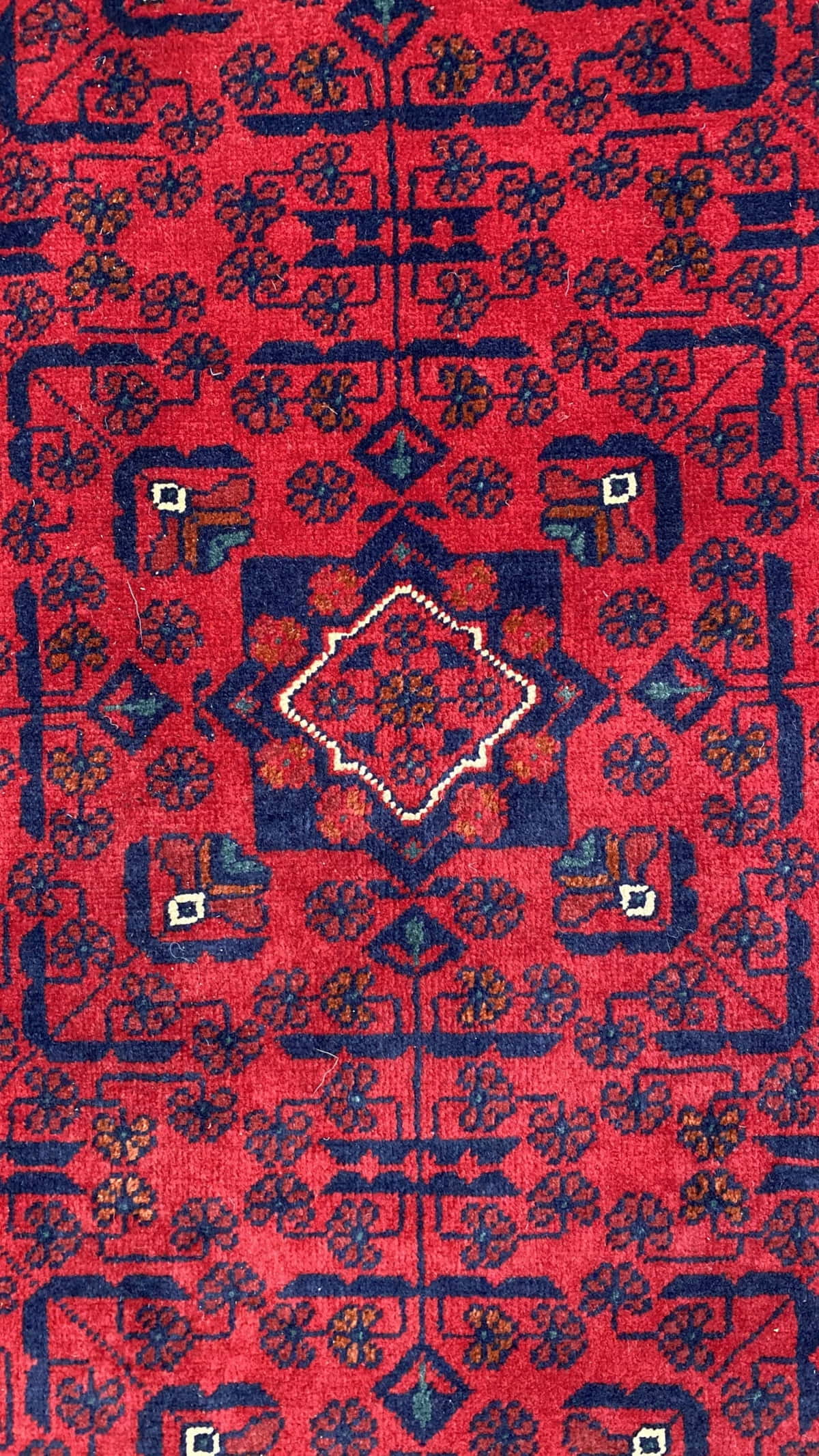 Afghan Ersari Beljik 331x248cm | Rug# 25059