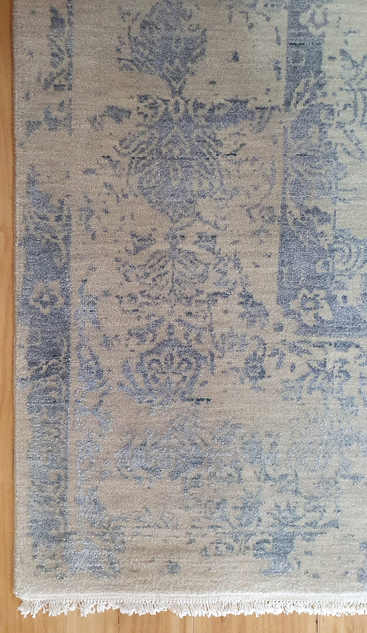 Transitional Classic 430x300cm | Rug# 31159