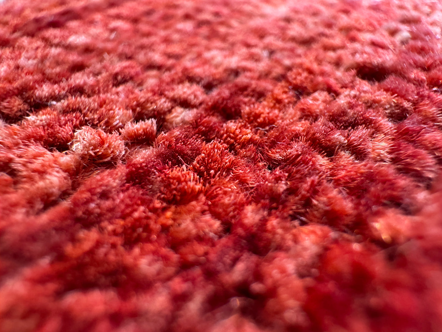 Afghan Turkaman weave, Graden design 230×161 cm | Rug# 10642