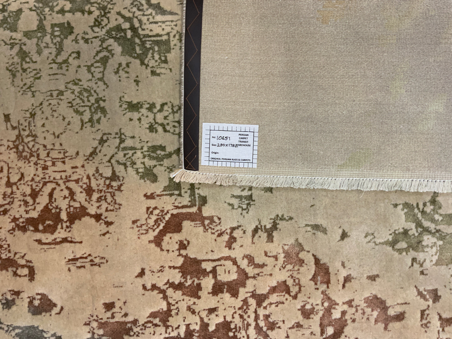 Hand-woven fine wool and bamboo silk pile  Transitional rug 280x178cm  | Rug# 10651