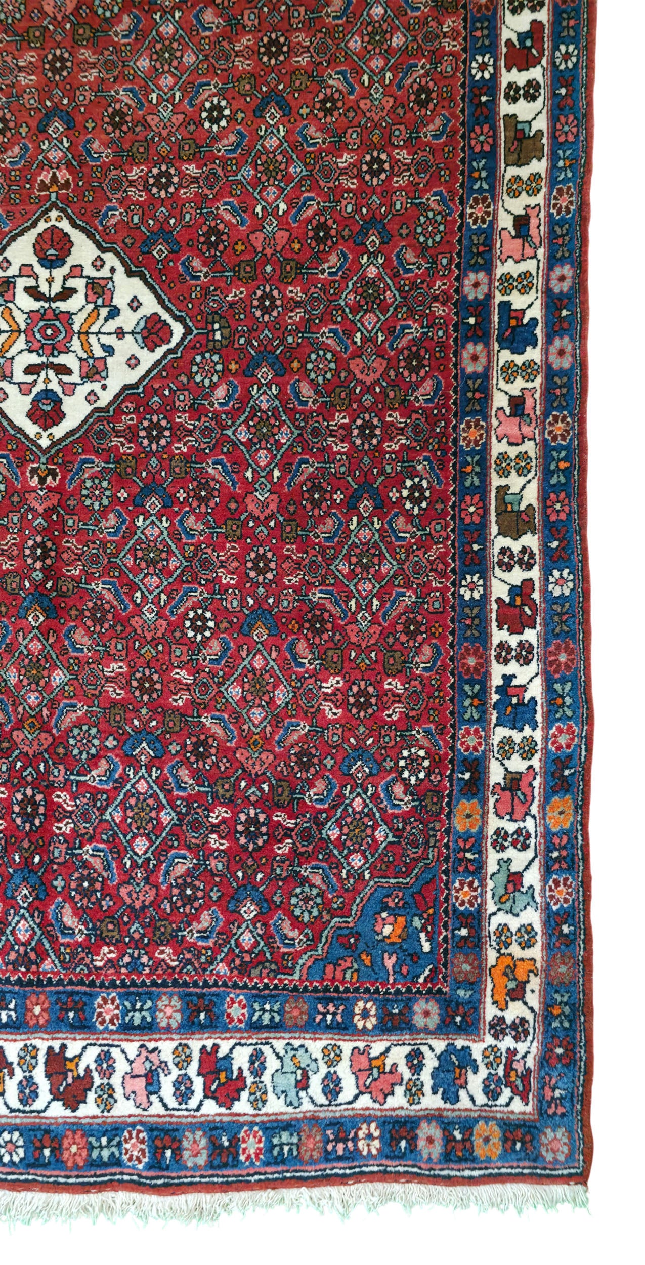Hand knotted vintage Bijar rug 164×115 cm | Rug# 11506