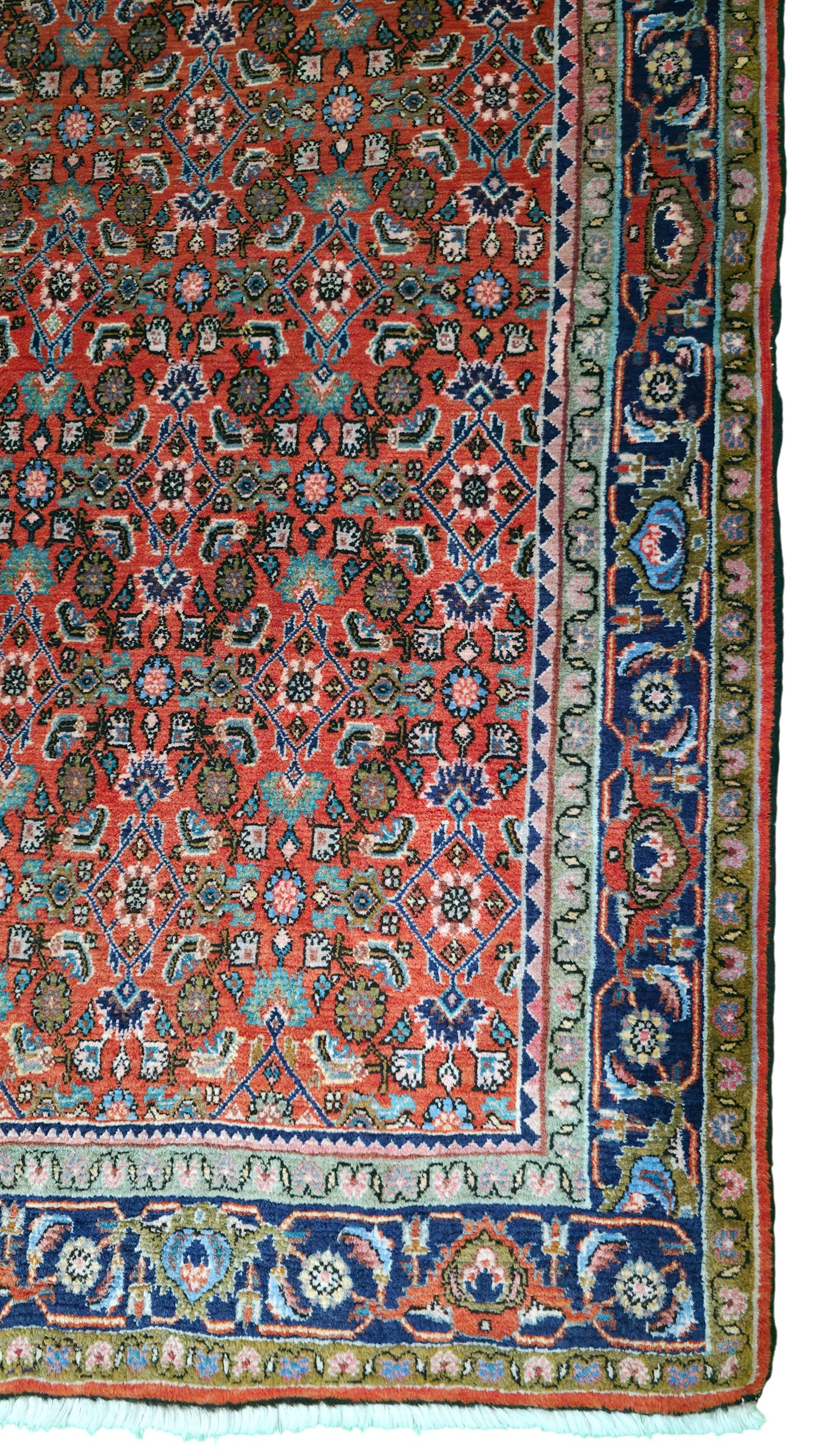 Superb vintage Tekapp-Bijar rug 169×111 cm | Rug# 11517