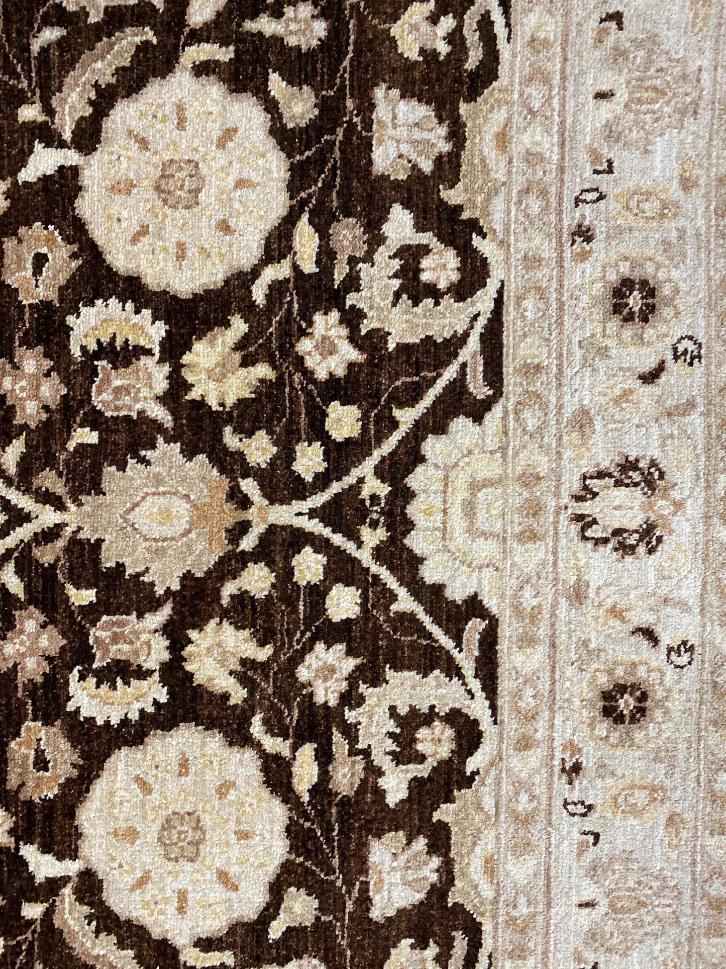 Afghan Ziegler, organic dyes  237×169cm  | Rug# 19516