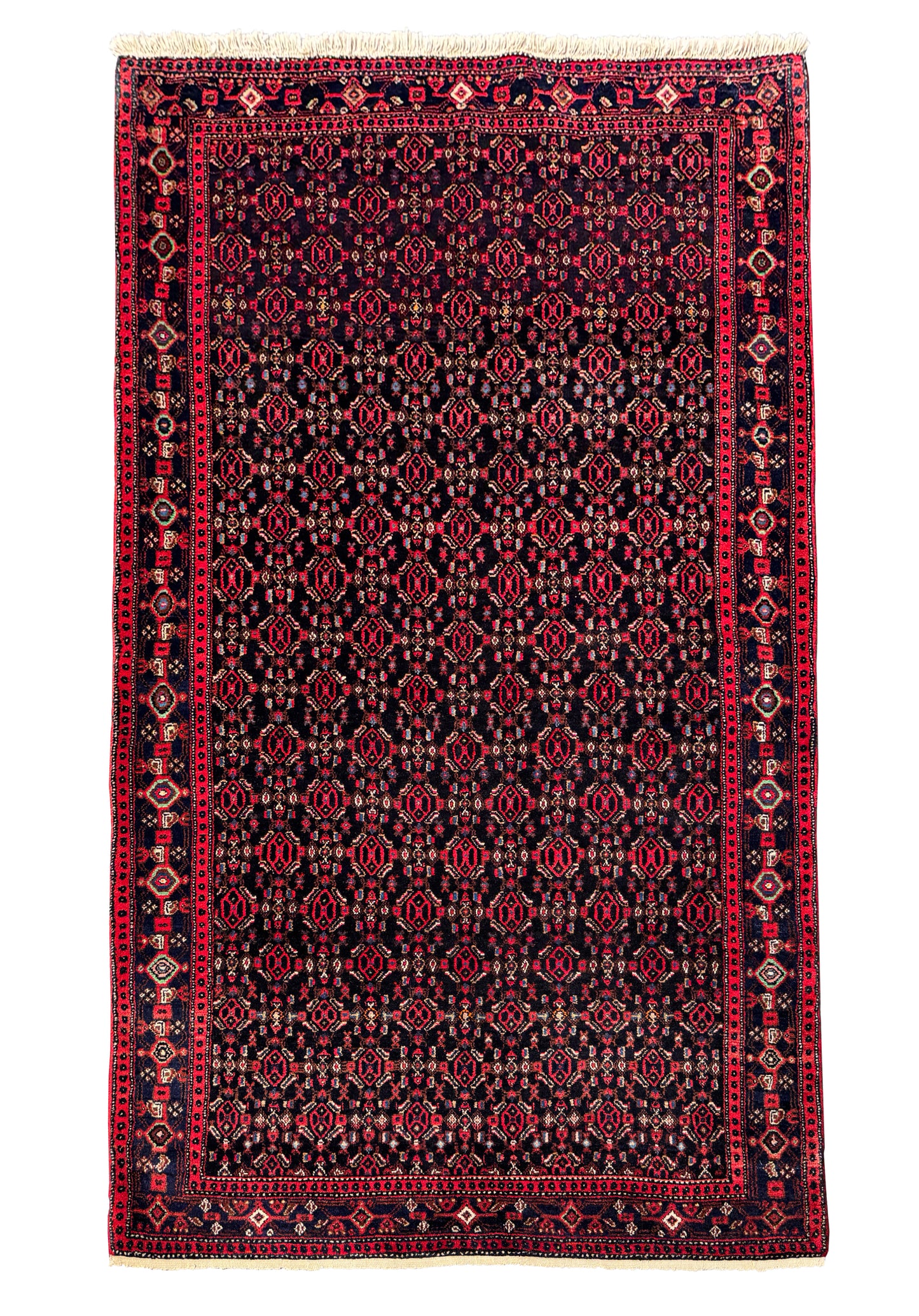 Rare Takpood Senneh, Persia 230x132cm | Rug# 4461