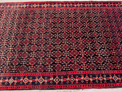 Rare Takpood Senneh, Persia 230x132cm | Rug# 4461