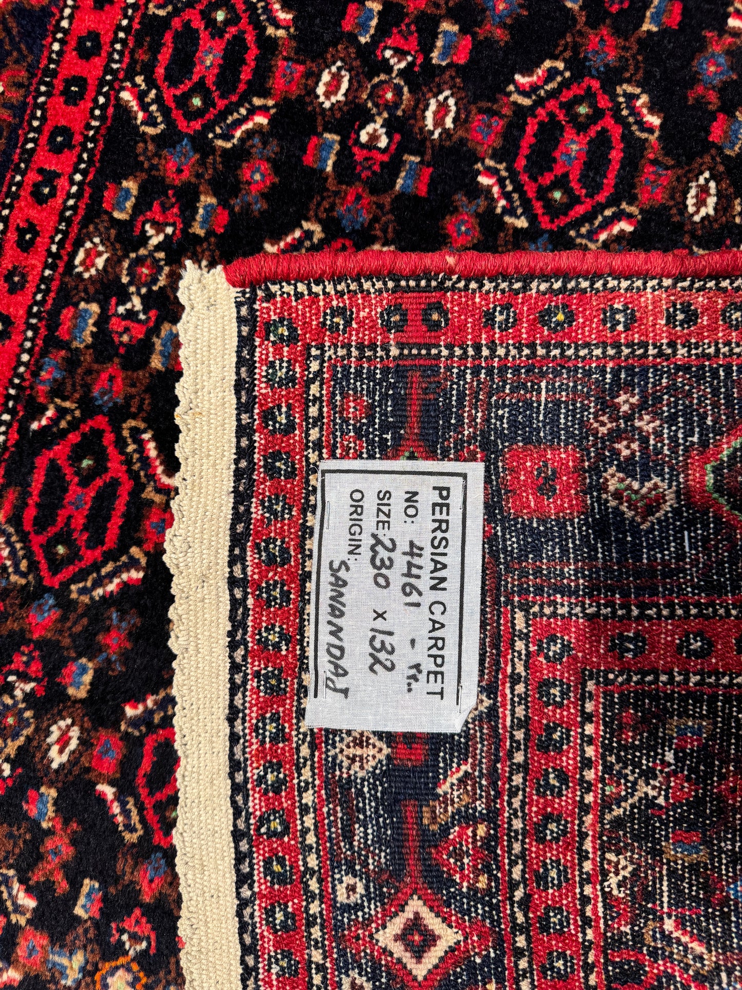 Rare Takpood Senneh, Persia 230x132cm | Rug# 4461