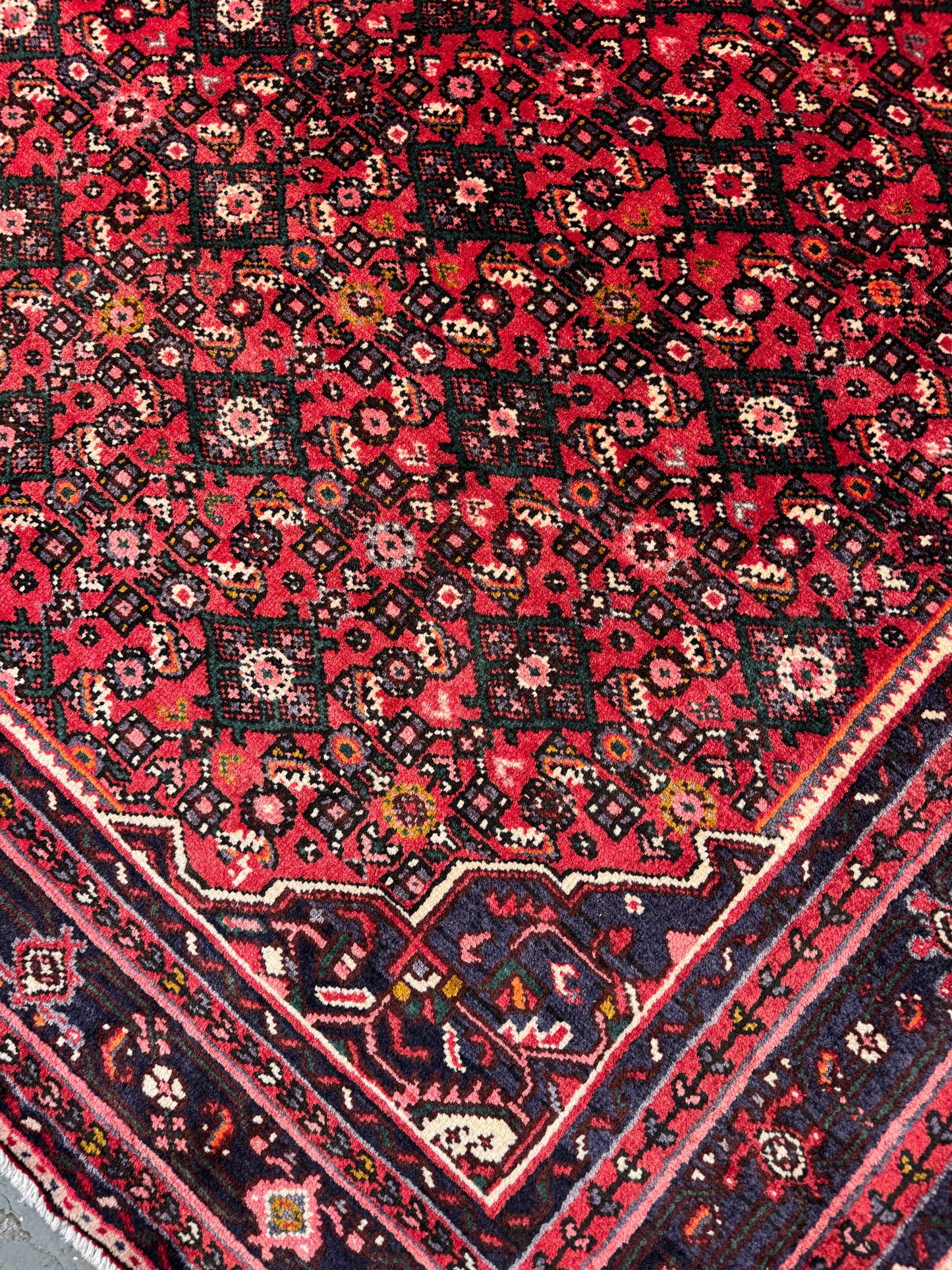 Vintage Enjelass 330x222cm | Rug# 6040