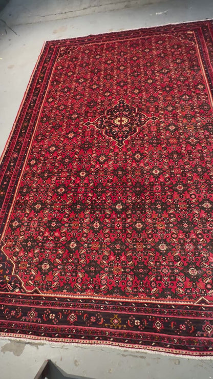 Vintage Enjelass 330x222cm | Rug# 6040