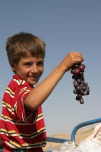 act of kindness offering grapes