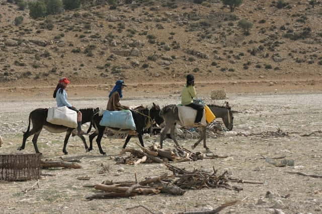 Mr Majid tour to Iran exploring the areas