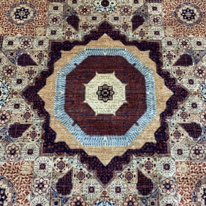 Rug# 26338. Superfine Afghan Mamluk , 50x50, woven by Turkaman women artisans, HSW, Veg dyes, Size 308x249 cm (2)